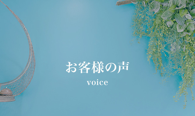 voice-sp